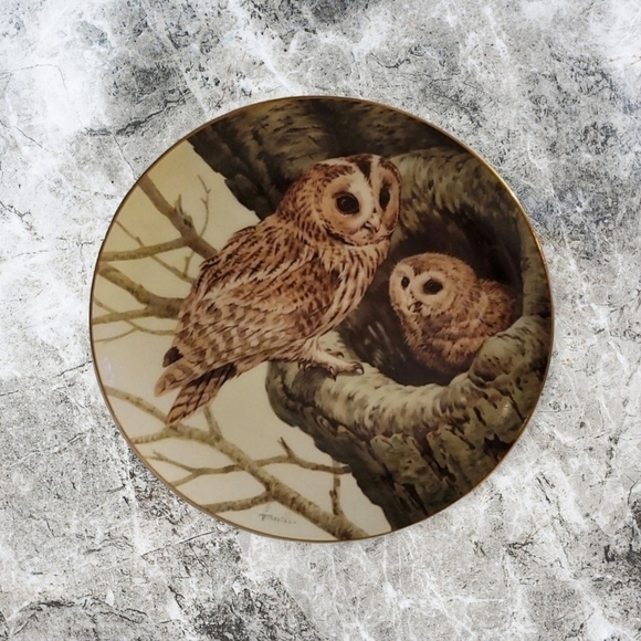 3/$30 FOREST YEAR 1983 Owls in the August Twilight Porcelain Nature Plate - Picture 1 of 6
